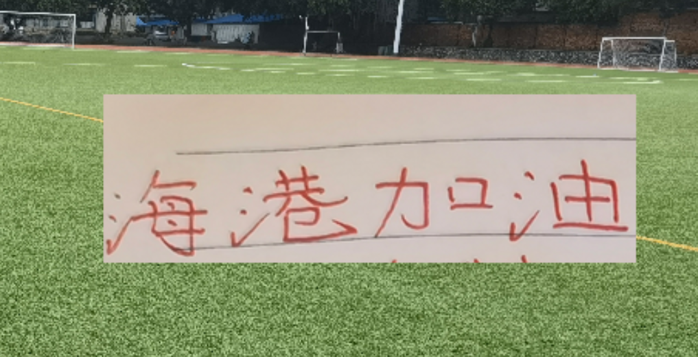 乐玩体育app下载-海港油箱又补满！就差2月实战！期待新赛季中超红魔！